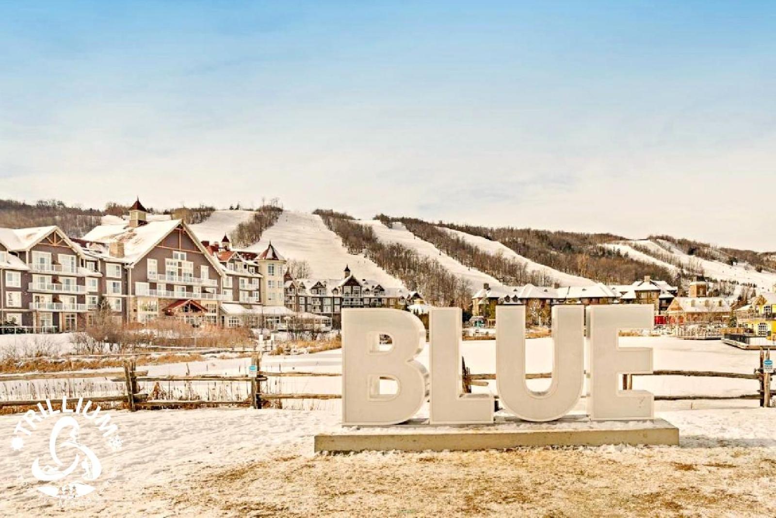Blue Mountain, Collingwood - Loft Condo, Sleeps 4 Blue Mountains Exterior foto