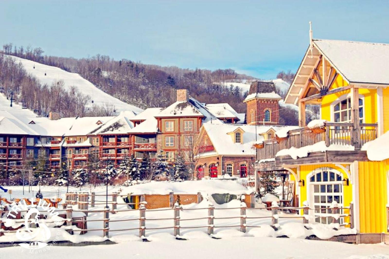 Blue Mountain, Collingwood - Loft Condo, Sleeps 4 Blue Mountains Exterior foto